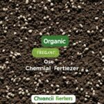 Chemical vs organic fertilizers