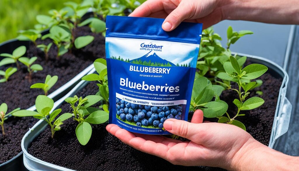 fertilizing blueberries in pots