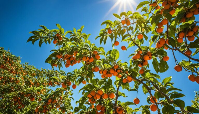 Grow Persimmons from Cuttings Easily | Step-by-Step Guide