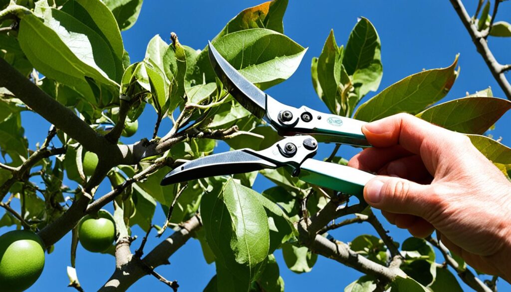 how to root persimmon cuttings